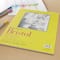 12 Pack: Strathmore® 300 Series Bristol Smooth Pad